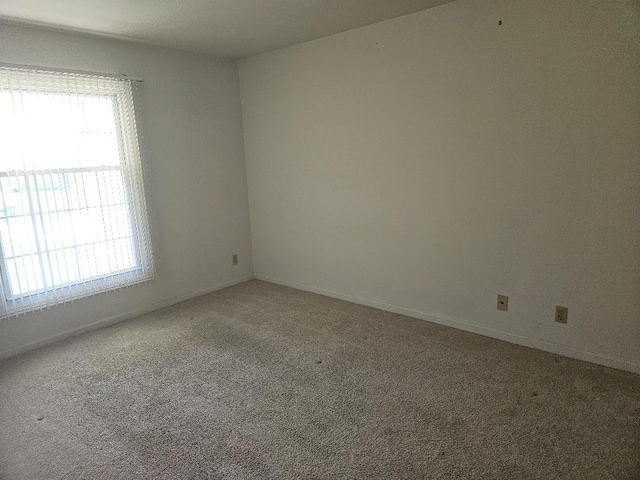 spare room with a wealth of natural light, light carpet, and baseboards