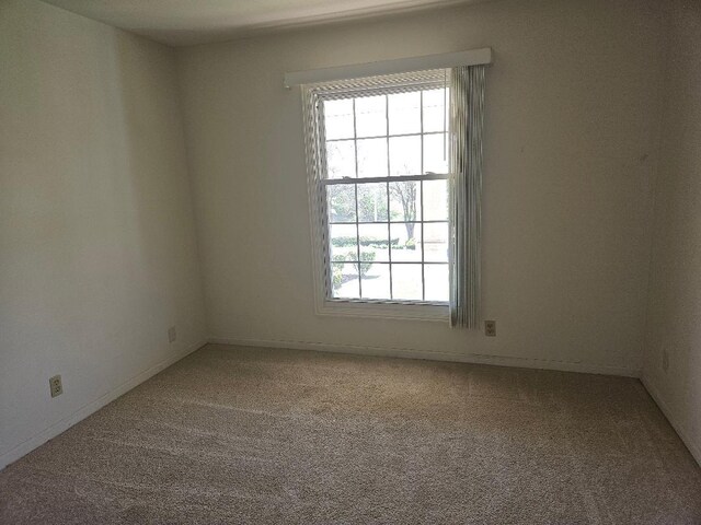 spare room with a wealth of natural light and carpet floors