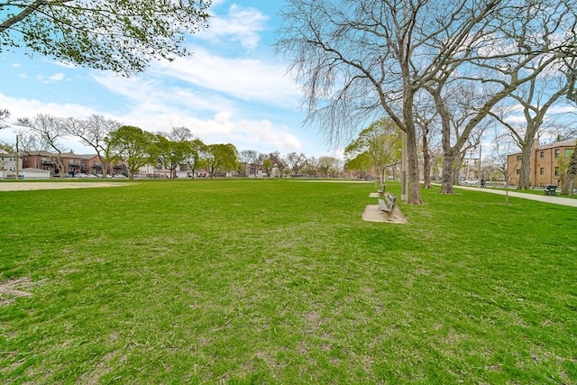 5328 W Windsor Ave Unit 1H, Chicago, IL 60630 - view of home's community with a yard