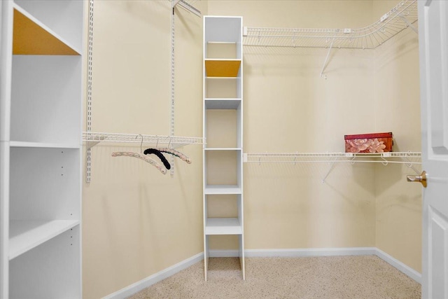 view of walk in closet