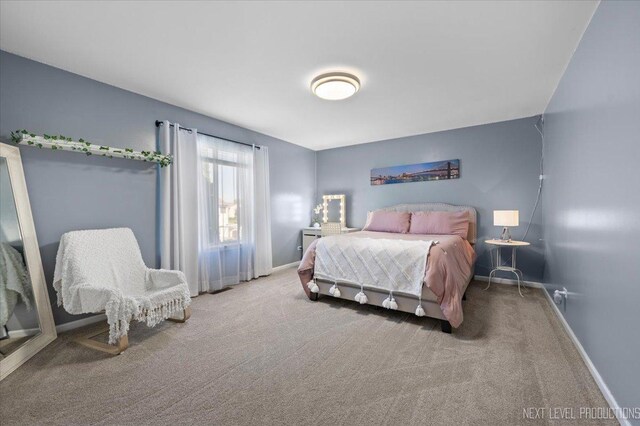 14329 Springfield Ct, Plainfield, IL 60544 - carpeted bedroom with baseboards