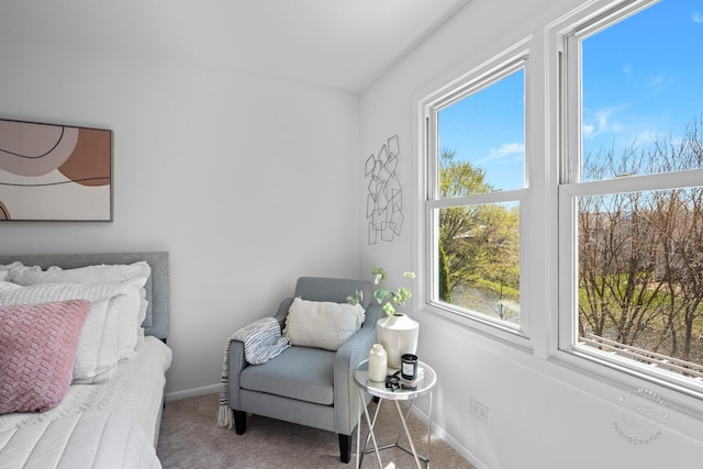 sitting room with carpet flooring and baseboards