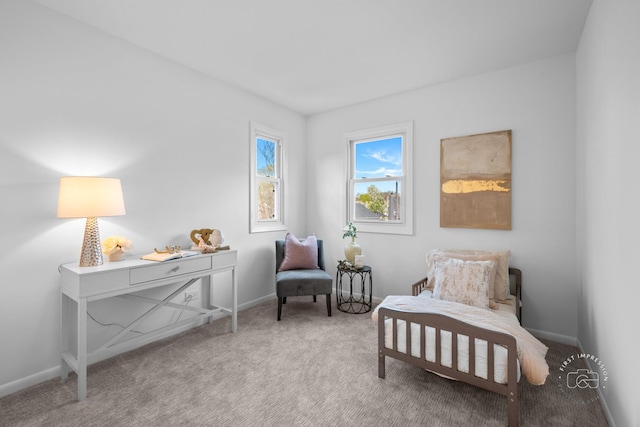 living area featuring baseboards and carpet floors
