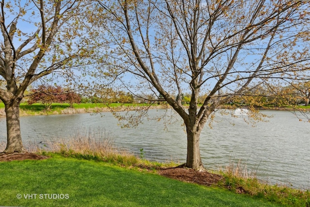 14252 S Hemingway Cir, Plainfield, IL 60544 - property view of water