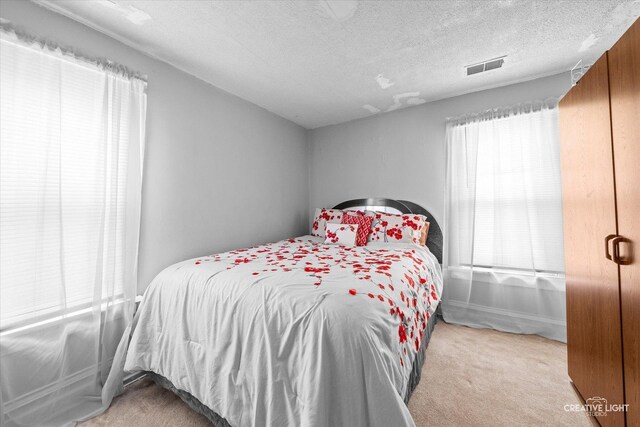 bedroom featuring carpet and a textured ceiling