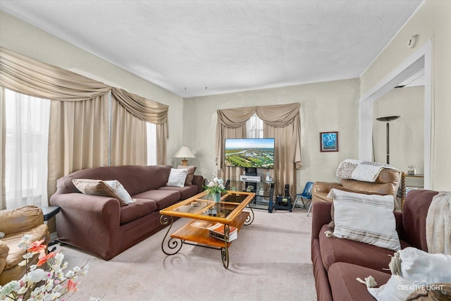 living area with carpet flooring