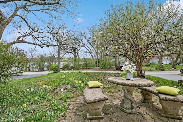 23460W N Lakewood Ln, Lake Zurich, IL 60047 - view of property's community