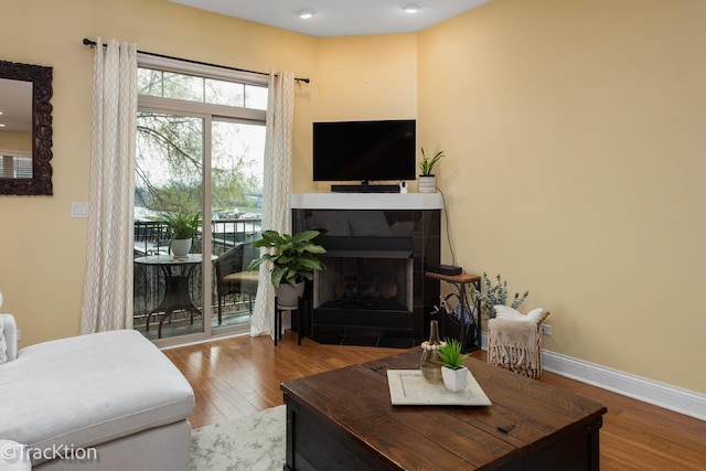 living area featuring baseboards, wood finished floors, and a fireplace