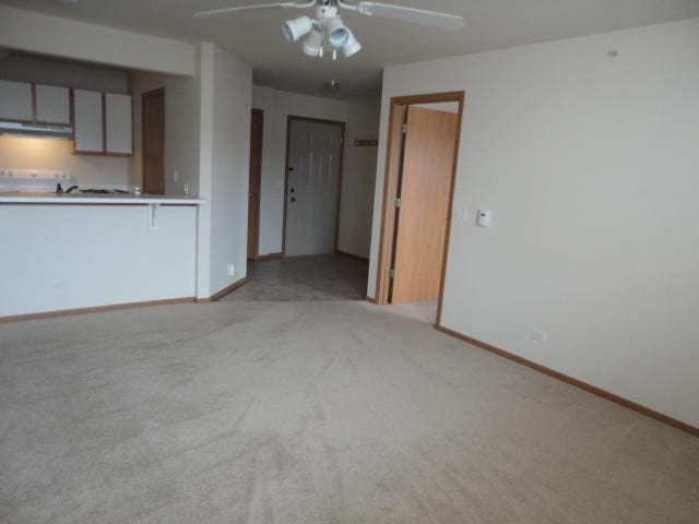 1524 W Sand Bar Ct Unit 2A, Round Lake, IL 60073 - unfurnished living room with baseboards, ceiling fan, and light carpet