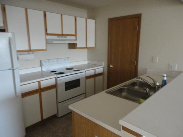 1524 W Sand Bar Ct Unit 2A, Round Lake, IL 60073 - kitchen featuring a sink, light countertops, under cabinet range hood, white appliances, and white cabinetry