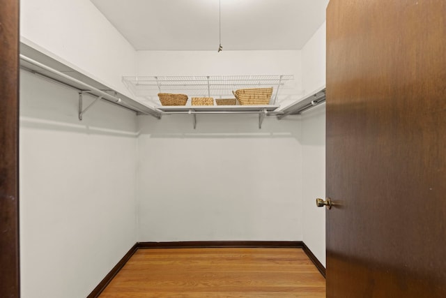 542 Stafford Ln, Glen Ellyn, IL 60137 - spacious closet featuring light wood finished floors