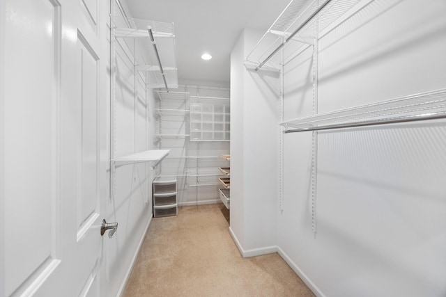 walk in closet with light carpet