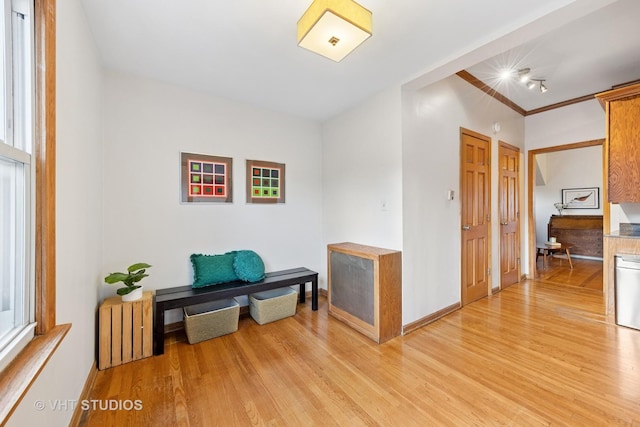 309 Wesley Ave, Oak Park, IL 60302 - corridor featuring baseboards and light wood-style floors