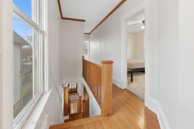 309 Wesley Ave, Oak Park, IL 60302 - corridor with an upstairs landing, light wood-type flooring, plenty of natural light, and ornamental molding