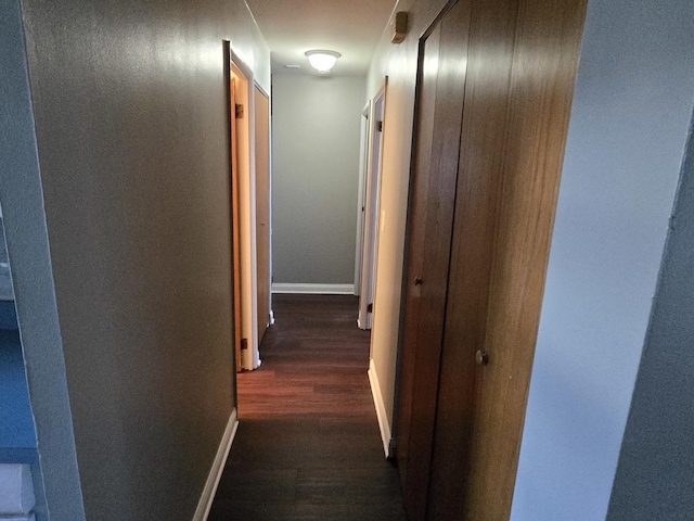 15016 S Holiday Ct, Orland Park, IL 60462 - hallway featuring dark wood-style floors and baseboards