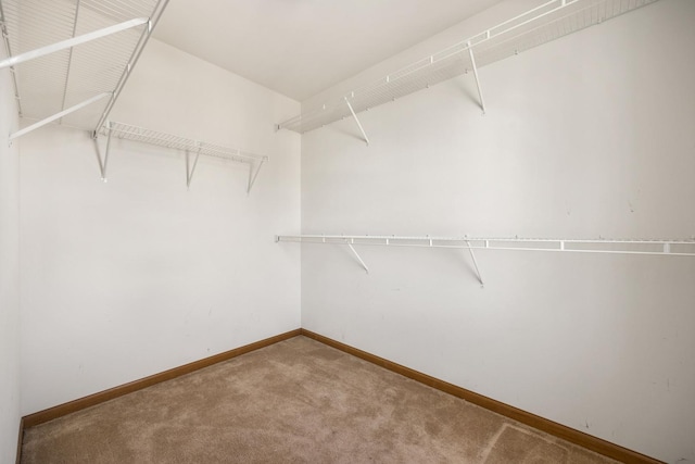 11253 Victoria Ln, Huntley, IL 60142 - spacious closet featuring carpet floors
