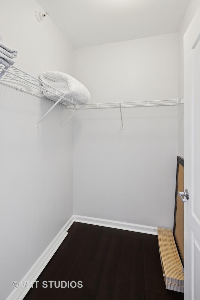 walk in closet featuring dark wood-style flooring