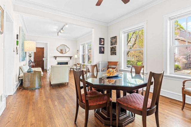 dining room featuring light wood-type flooring, rail lighting, and plenty of natural light