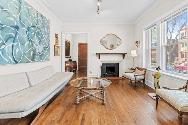 living area with crown molding, track lighting, a fireplace with raised hearth, and wood finished floors
