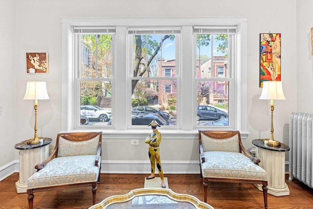 sitting room with a healthy amount of sunlight, radiator, baseboards, and wood finished floors