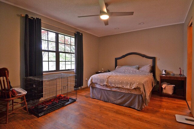 bedroom featuring crown molding, ceiling fan, and wood finished floors