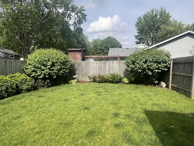 201 Meadows Rd S, Bourbonnais, IL 60914 - view of yard