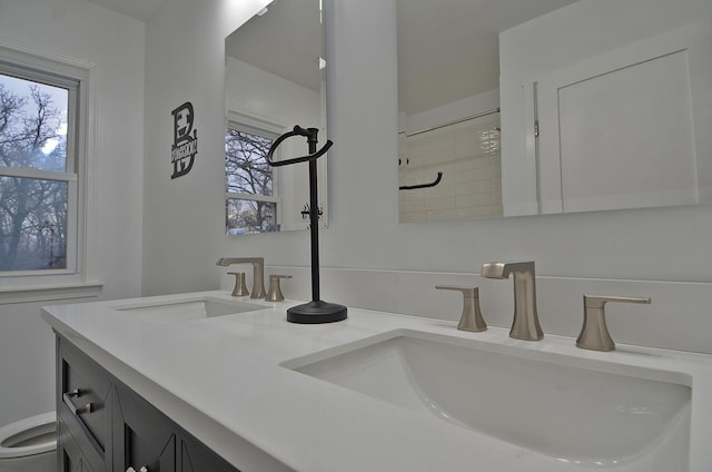 room details with double vanity, toilet, and a sink