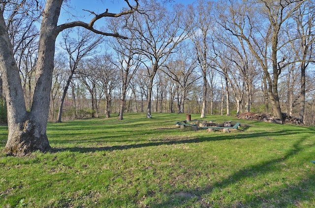 view of yard featuring an outdoor fire pit