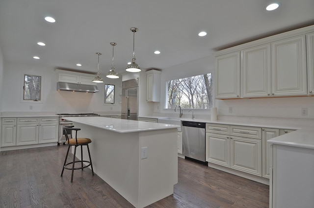 kitchen with a sink, a center island, under cabinet range hood, recessed lighting, and high end appliances