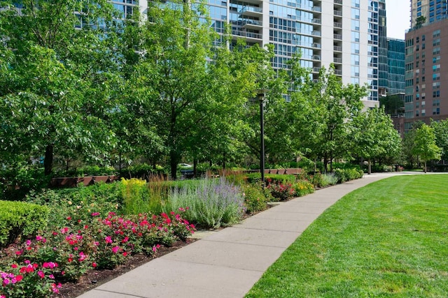 155 N Harbor Dr Unit 1112-13, Chicago, IL 60601 - view of property's community with a yard
