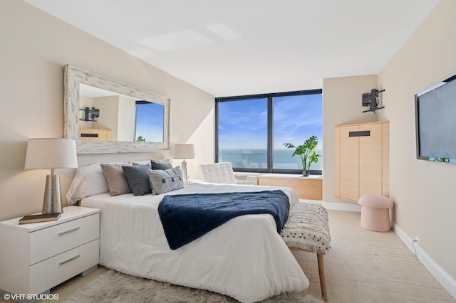 155 N Harbor Dr Unit 1112-13, Chicago, IL 60601 - bedroom with light carpet and baseboards
