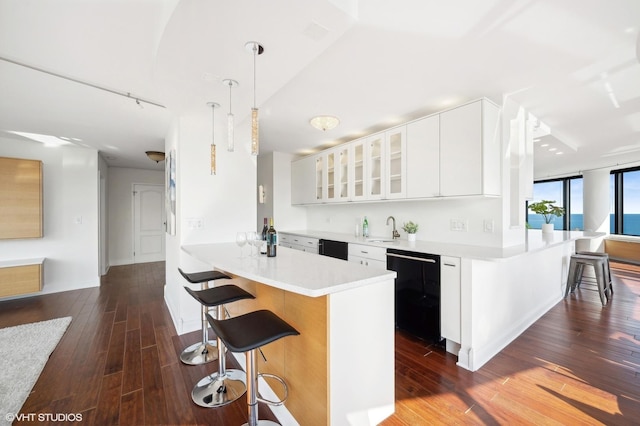 155 N Harbor Dr Unit 1112-13, Chicago, IL 60601 - kitchen featuring a breakfast bar area, a sink, dark wood finished floors, black dishwasher, and a peninsula