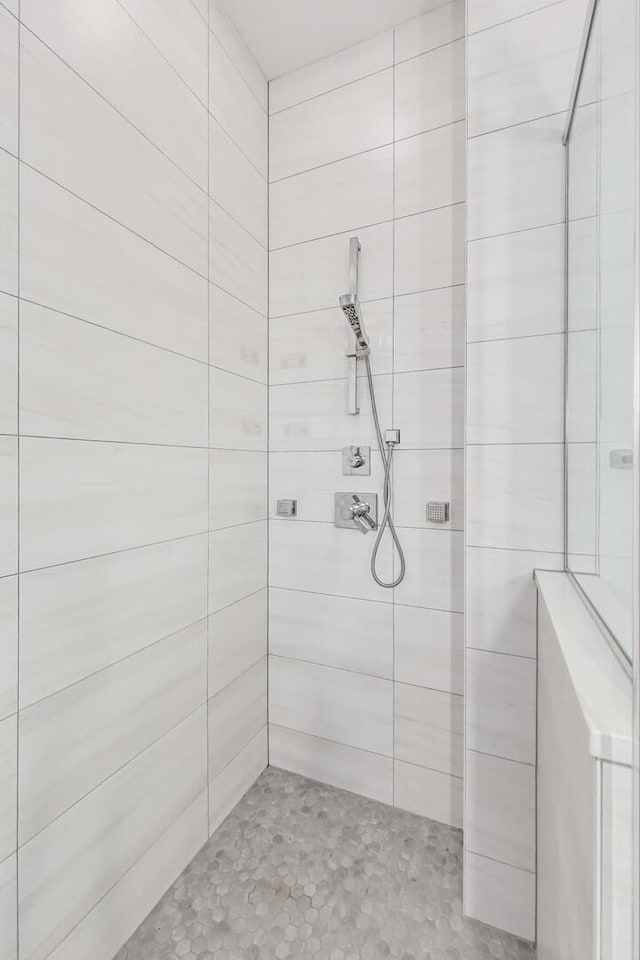 512 N Claremont Ave Unit 2, Chicago, IL 60612 - bathroom featuring a walk in shower