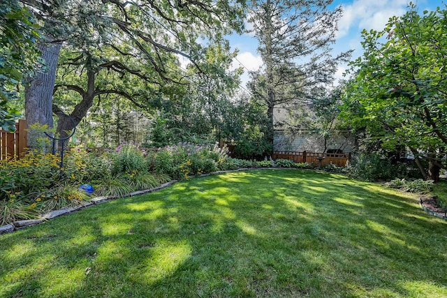 4019 Howard Ave, Western Springs, IL 60558 - view of yard