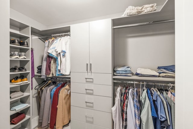 view of walk in closet