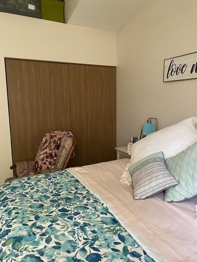 bedroom with a closet and vaulted ceiling