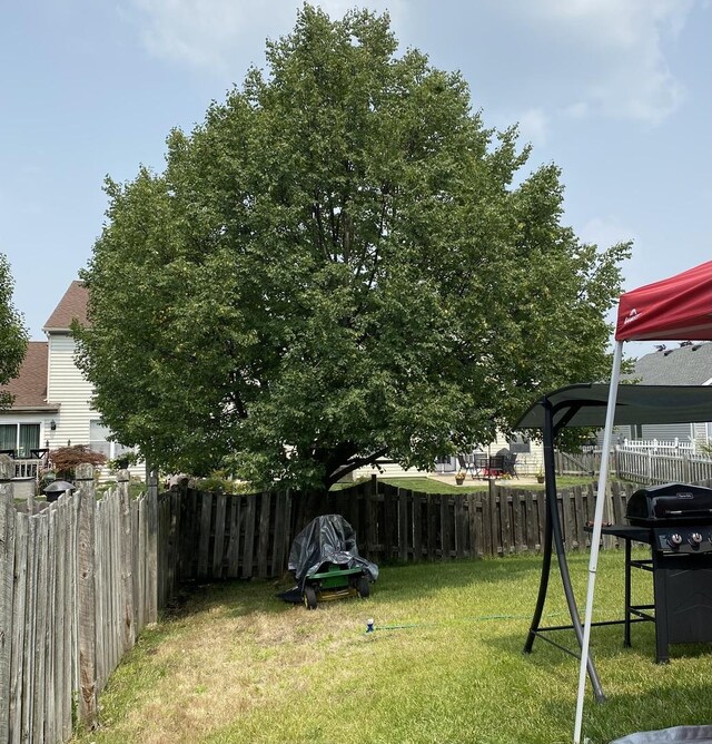 view of yard featuring fence