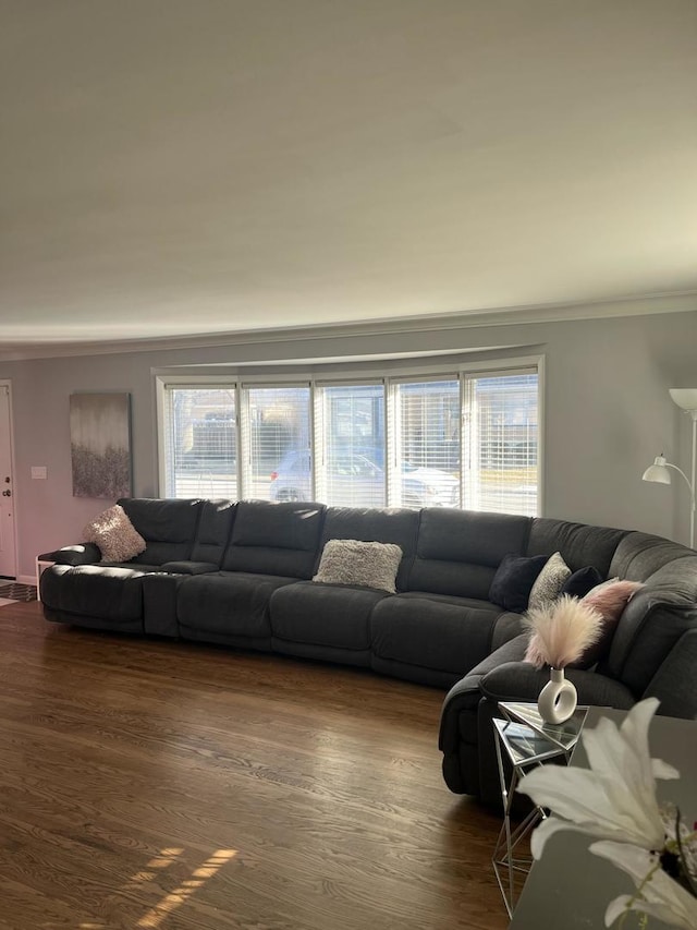 living room featuring crown molding, dark wood-style flooring, and plenty of natural light