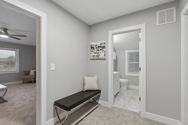9221 S Lowe Ave, Chicago, IL 60620 - hall featuring visible vents, carpet, and baseboards