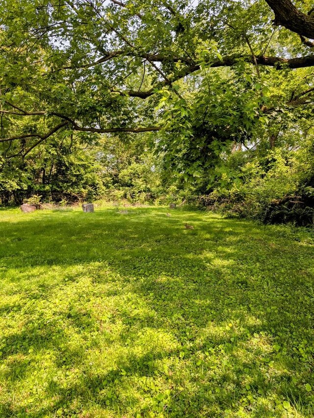 1514 173rd St, East Hazel Crest, IL 60429 - view of green lawn