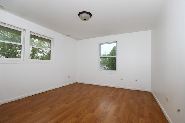 18557 W Country Ln, Grayslake, IL 60030 - spare room with plenty of natural light, wood finished floors, and baseboards