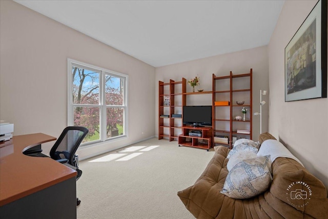 view of carpeted office space