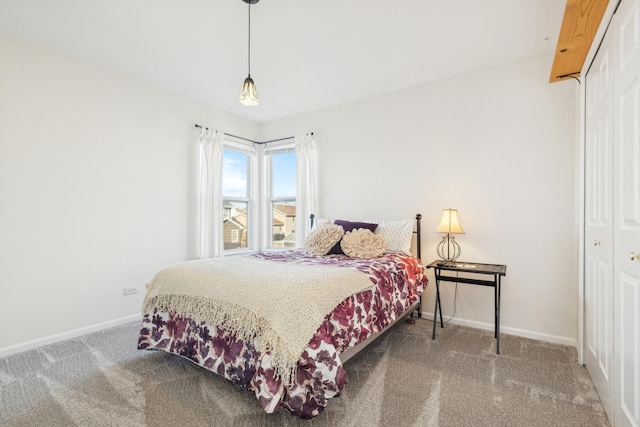 2851 Briarcliff Ln, Lake In The Hills, IL 60156 - bedroom with carpet, a closet, and baseboards