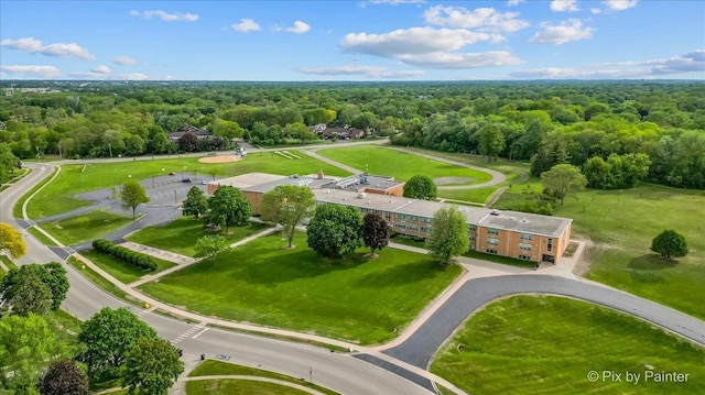 502 Everett Ave, Crystal Lake, IL 60014 - bird's eye view of a forest