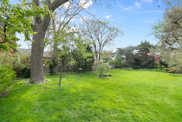 view of yard featuring fence