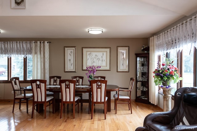 dining room featuring light wood-type flooring and a wealth of natural light