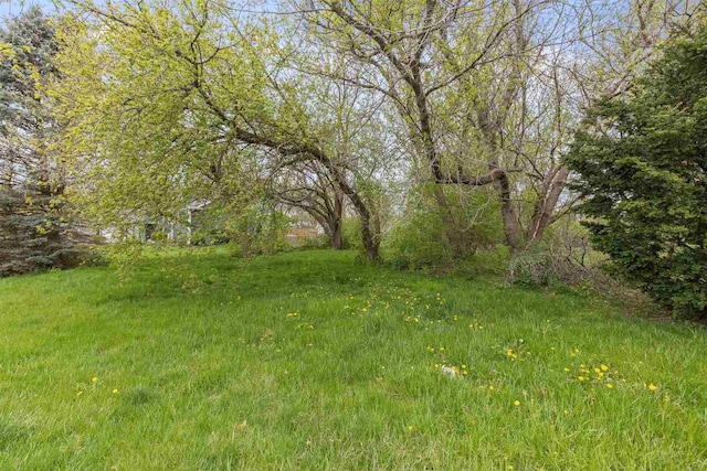 111 Brandywine Dr, Poplar Grove, IL 61065 - photo 2