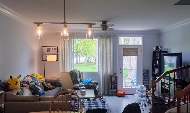 1373 Grayshire Ct, Elgin, IL 60120 - living room with crown molding, a ceiling fan, wood finished floors, and a wealth of natural light