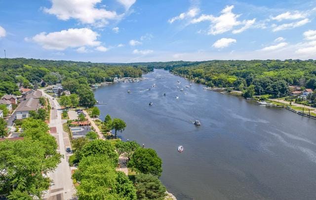 bird's eye view with a water view and a view of trees