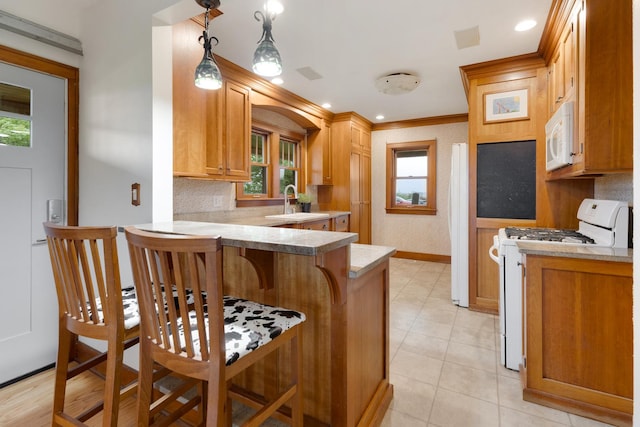 13459 N Tower Rd N, Lee, IL 60530 - kitchen featuring white appliances, a peninsula, a sink, plenty of natural light, and ornamental molding